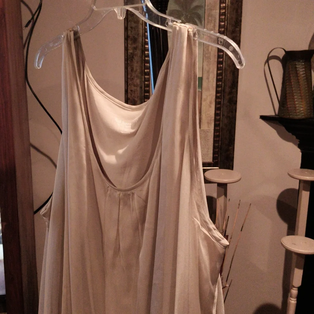 FINAL PRICE Soft Surroundings Taupe Sheer Silk Blouse Size 3X - Picture 4 of 6